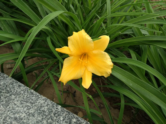 小米Note顶配版拍照效果