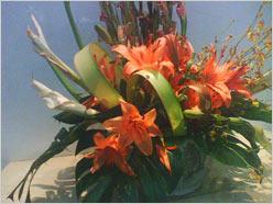 享无拘束电视娱乐 金立电视手机A10测