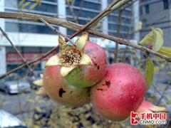 最强S40手机!诺基亚音乐手机5610详评 