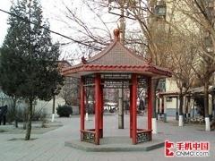 手机DC合二为一 五一出行拍照强机精选 