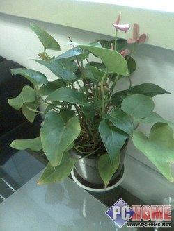 石头也疯狂!触屏音乐手机MOTO U9评测