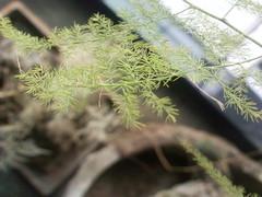 经典柯达胶片味 500万摩托罗拉ZN5评测 
