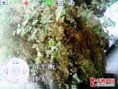 经典柯达胶片味 500万摩托罗拉ZN5评测 