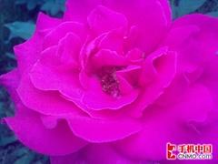 智能诠释精致商务 诺基亚E71详细评测 