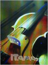 向双卡双待进军 天语商务新作D780评测