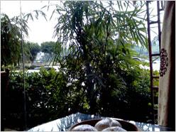 向双卡双待进军 天语商务新作D780评测