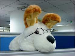 上网飙生活 索尼爱立信G705首发评测