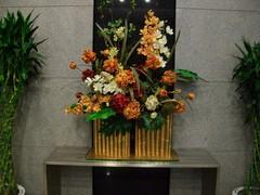 功能与画质齐飞 08年度5大拍照手机横评 