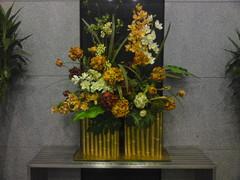 功能与画质齐飞 08年度5大拍照手机横评 