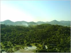 又一唯美音乐作 索尼爱立信音乐W595测