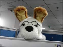 全国首发 二代三星阿玛尼手机M7500评测