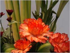 全国首发 二代三星阿玛尼手机M7500评测