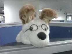 冬日里的彩虹 时尚美型机联想P80评测