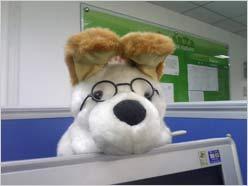 宽屏新体验 双向滑盖联想i60s精彩评测