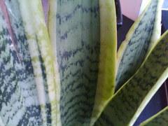 联想设计巅峰之作 红点大奖手机X1评测 