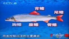 3G酷影娱乐 创维32L05HR超值新品首评