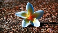 3G酷影娱乐 创维32L05HR超值新品首评