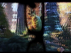 男蓝限量版 TCL智能云电视V7300首测