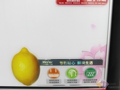 海尔精美两门冰箱 家电下乡中标型号