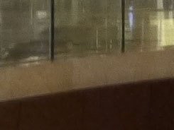 松下GF5测试