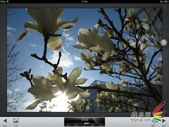 用照片说话 苹果“牛排”的非典型性测试