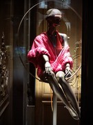 用照片说话 苹果“牛排”的非典型性测试