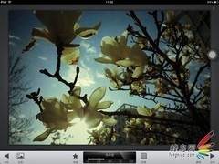 用照片说话 苹果“牛排”的非典型性测试