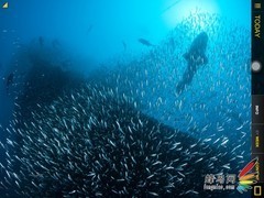 用照片说话 苹果“牛排”的非典型性测试