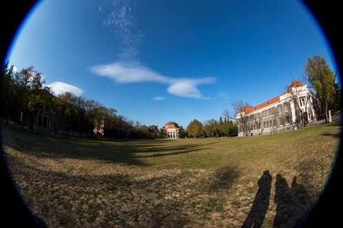 细品别有风味的鱼佳能ef8 15 F4l评测 手机新浪网