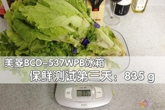 航母style 美菱雅典娜旗舰级冰箱评测