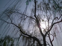 差500买哪个？小米手机2S/小米手机2A对比 