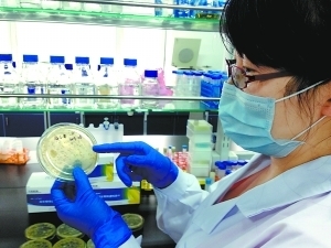 键盘藏真菌比臭鞋高65倍