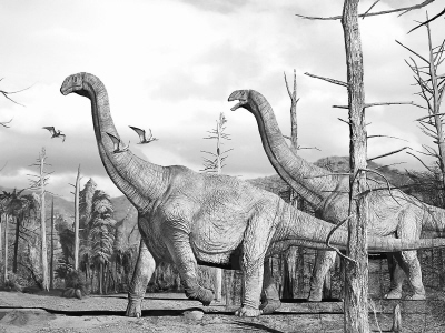 汝阳黄河巨龙骨骼化石复制品