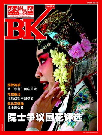 《北京科技报》2008年6月2日封面