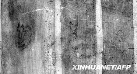 达·芬奇《圣母子与圣安妮》背后的素描痕迹