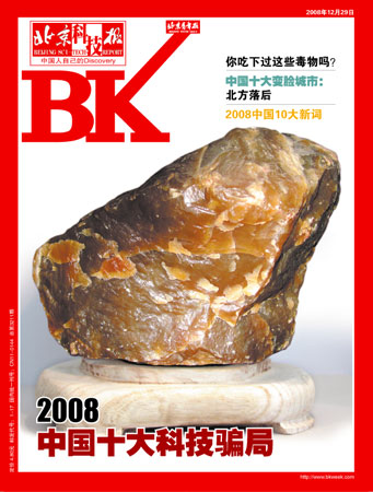 北京科技报12月29日封面
