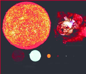 几个恒星的体积比较，太阳……已经小得看不见了。