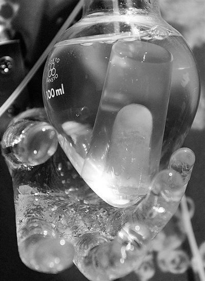 图为：日本科学家用白鼠细胞再造人类手指