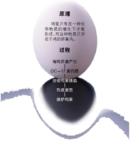 英科学家宣称破解千古之谜：原来是先有鸡后有蛋!