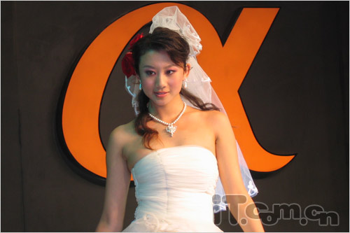 一切为艺术本届pe惊现人体彩绘