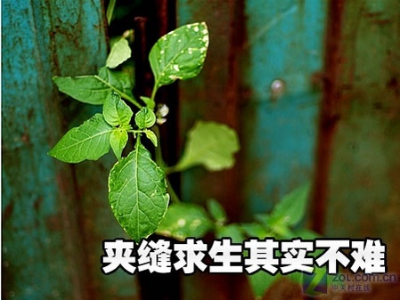 夹缝中求生存不难聚焦中端gps导航仪