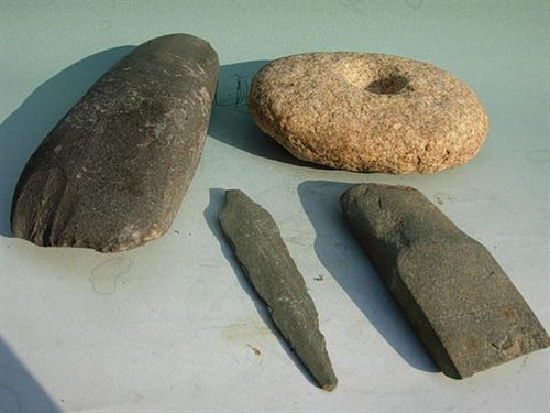 石器时代小豆丁图片