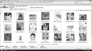 搜索引擎成了孩子收集低俗、色情图片的“帮凶”