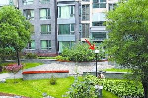 网友揭露：信号基站装成路灯。