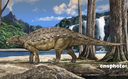 中国首次发现大型结节龙类甲龙