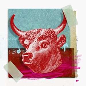 金牛座的爱情幸运石