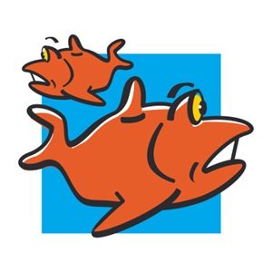 双鱼座剁手党养成史