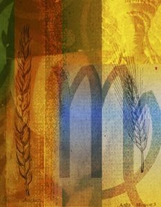 处女座2015事业机遇