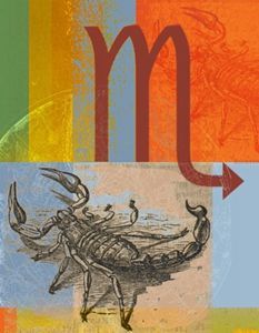 天蝎座2015事业机遇