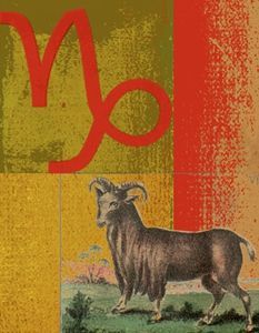 魔羯座2015事业机遇